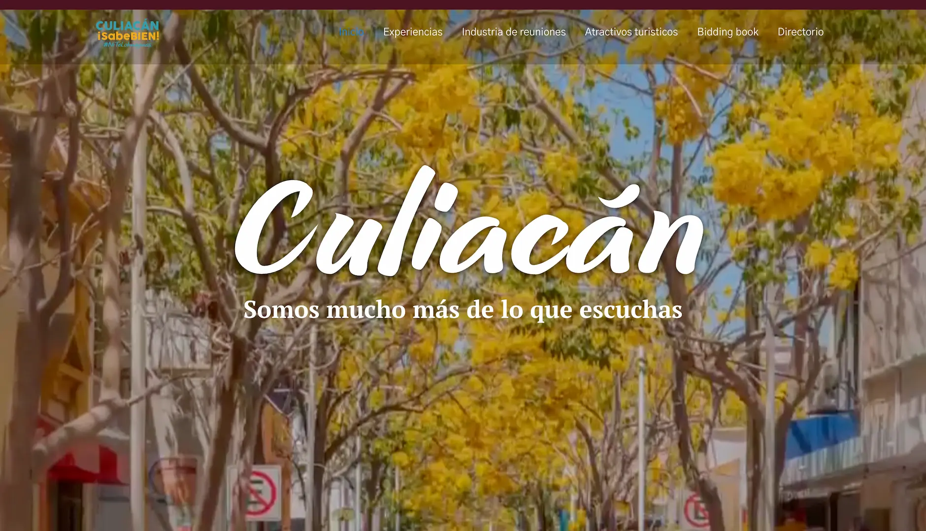 Pagina Web de Turismo